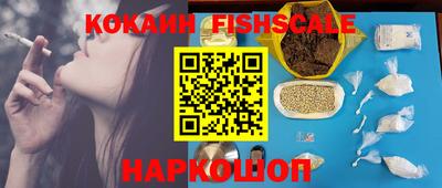 Альфа ПВП Малгобек