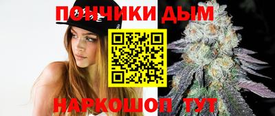 Альфа ПВП Малгобек