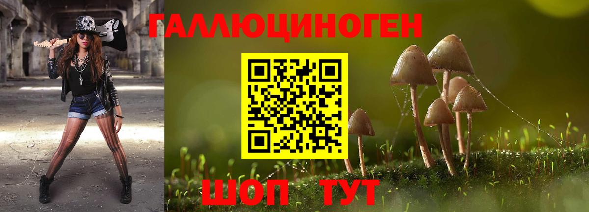 Галлюциногенные грибы прущие грибы  где продают наркотики  Гурьевск  Вход с VPN 